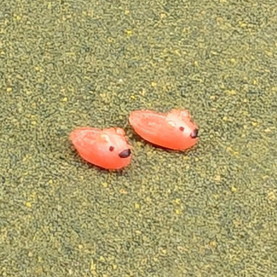 Miniature Slippers